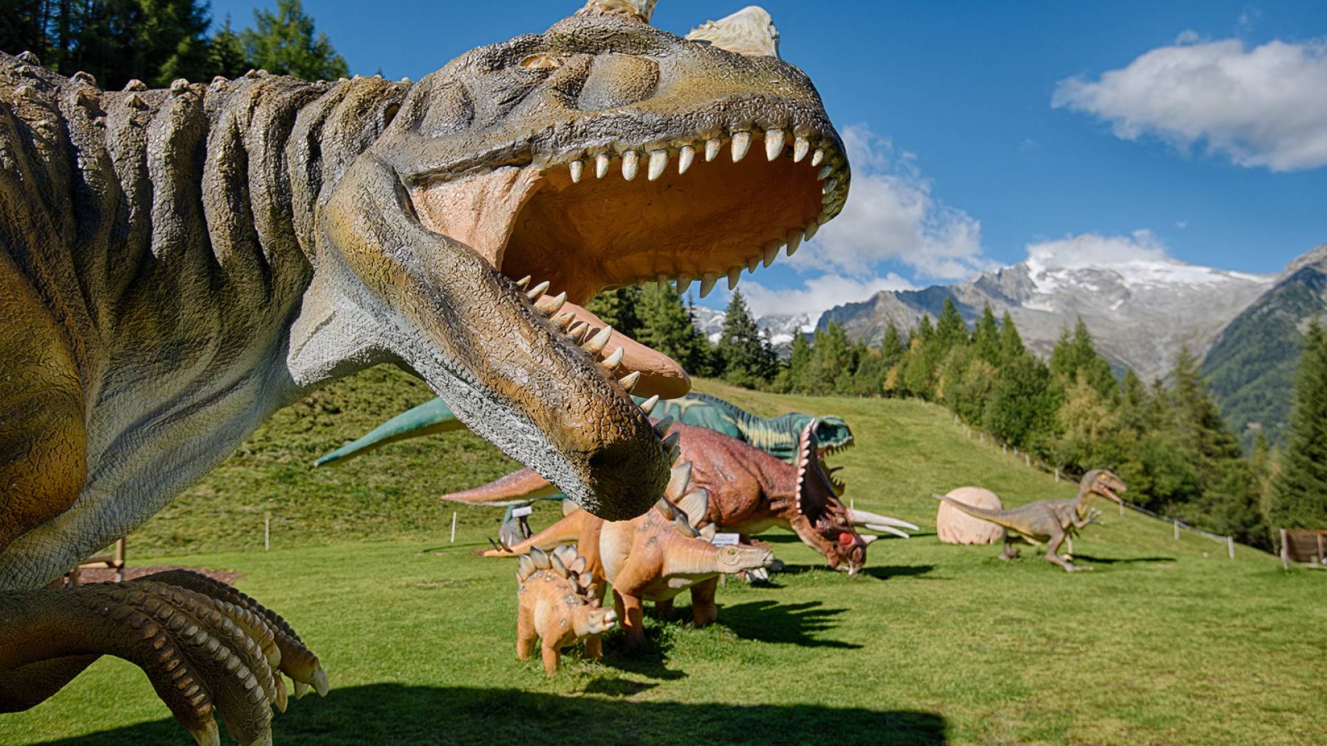 Dinoland & Dino Fun Line