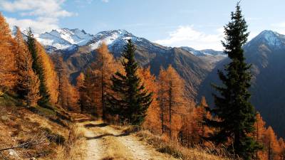 Herbststimmung im Ahrntal